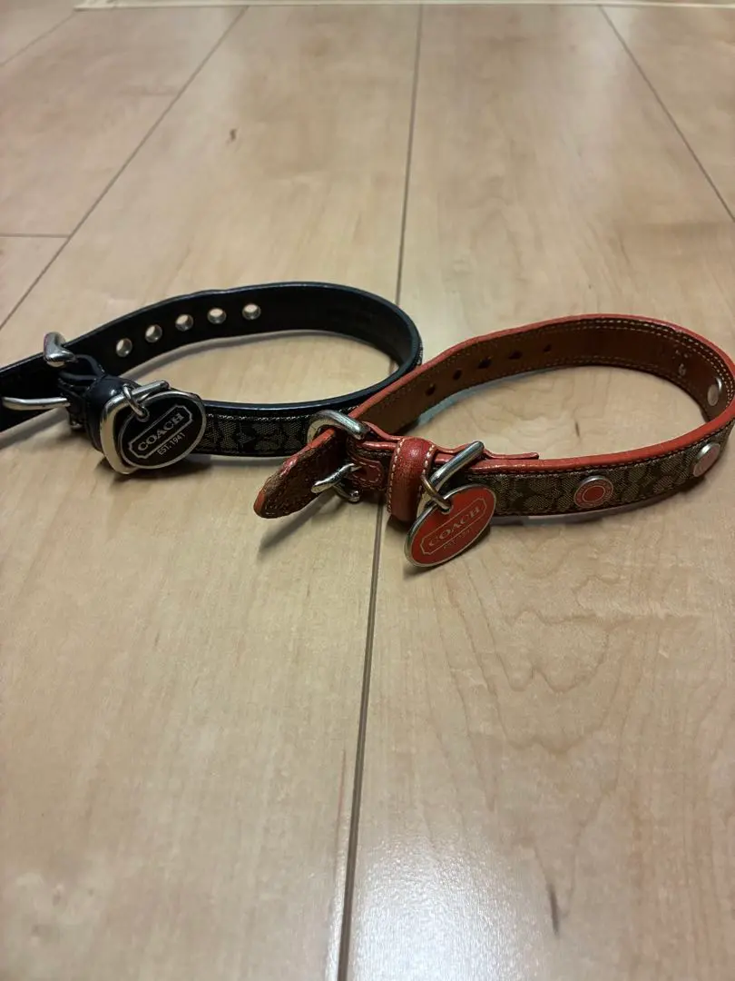 2026年最新】coach 犬 首輪の人気アイテム - メルカリ