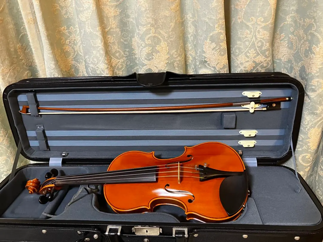 2026年最新】ピグマリウス 弦楽器の人気アイテム - メルカリ