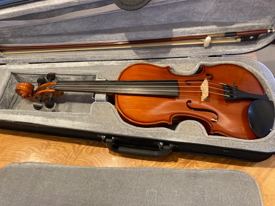 2026年最新】恵那バイオリンの人気アイテム - メルカリ