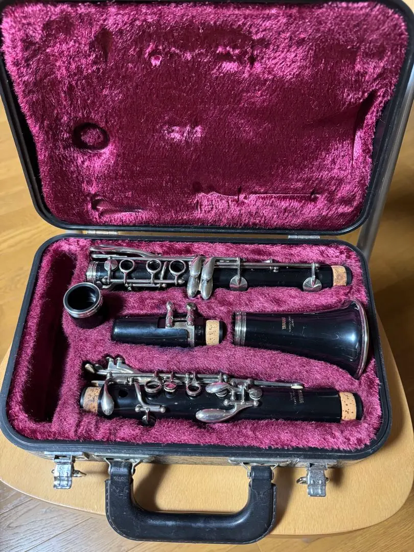 2026年最新】ビュッフェクランポン クラリネット ケースの人気アイテム