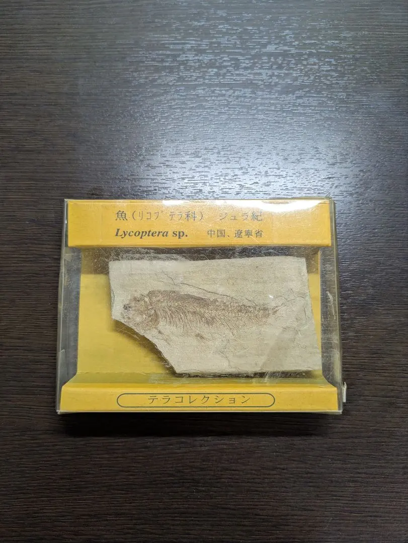 2026年最新】リコプテラの人気アイテム - メルカリ