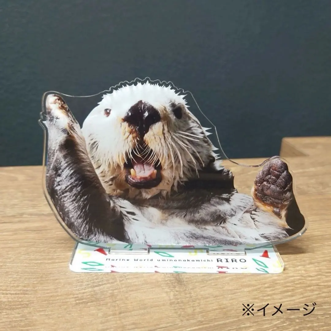 2026年最新】ラッコのリロくんの人気アイテム - メルカリ