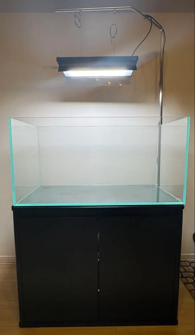 2026年最新】ガーデンスタンド adaの人気アイテム - メルカリ