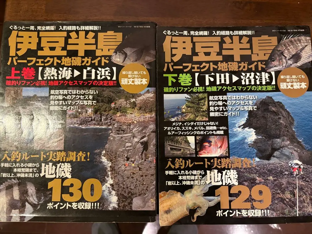 2026年最新】伊豆半島パーフェクト地磯ガイドの人気アイテム - メルカリ