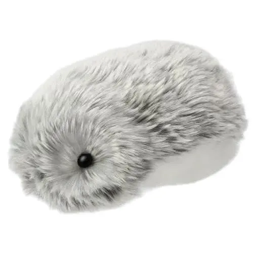 m75614620611_1.jpg?1766816615