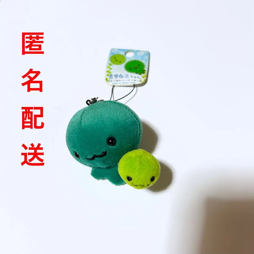 2026年最新】まりもこちゃんの人気アイテム - メルカリ