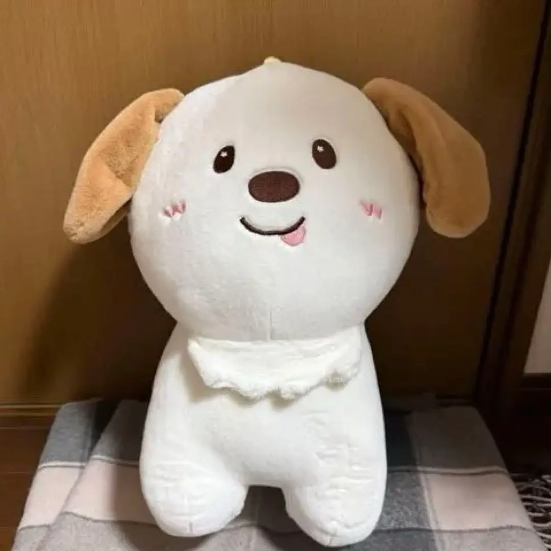 2026年最新】モンリョンイ 40cmの人気アイテム - メルカリ