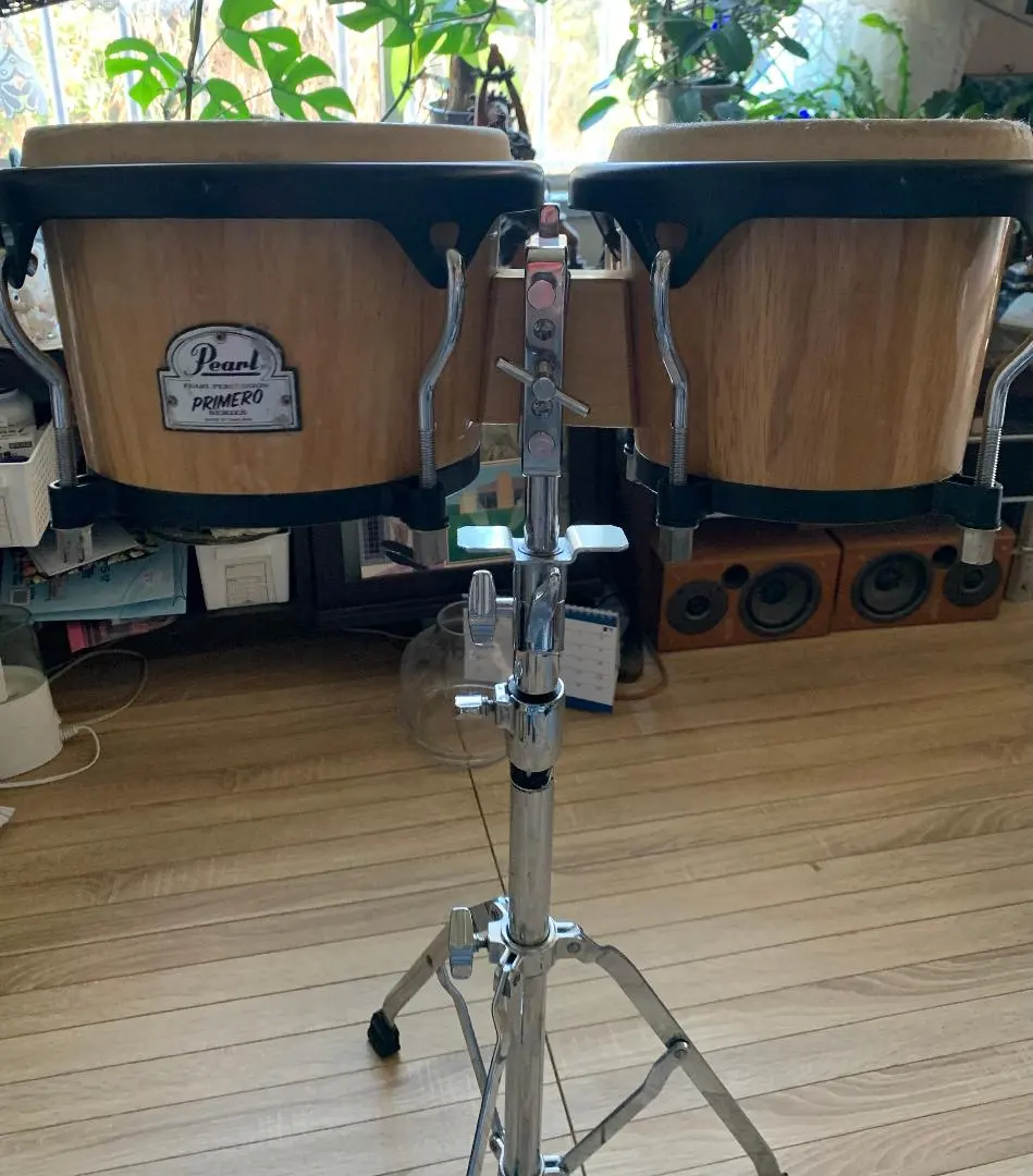 2026年最新】pearl ボンゴの人気アイテム - メルカリ