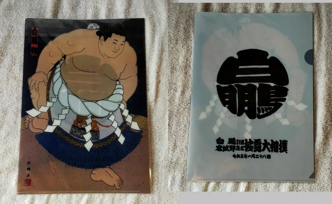 2026年最新】白鵬引退記念の人気アイテム - メルカリ