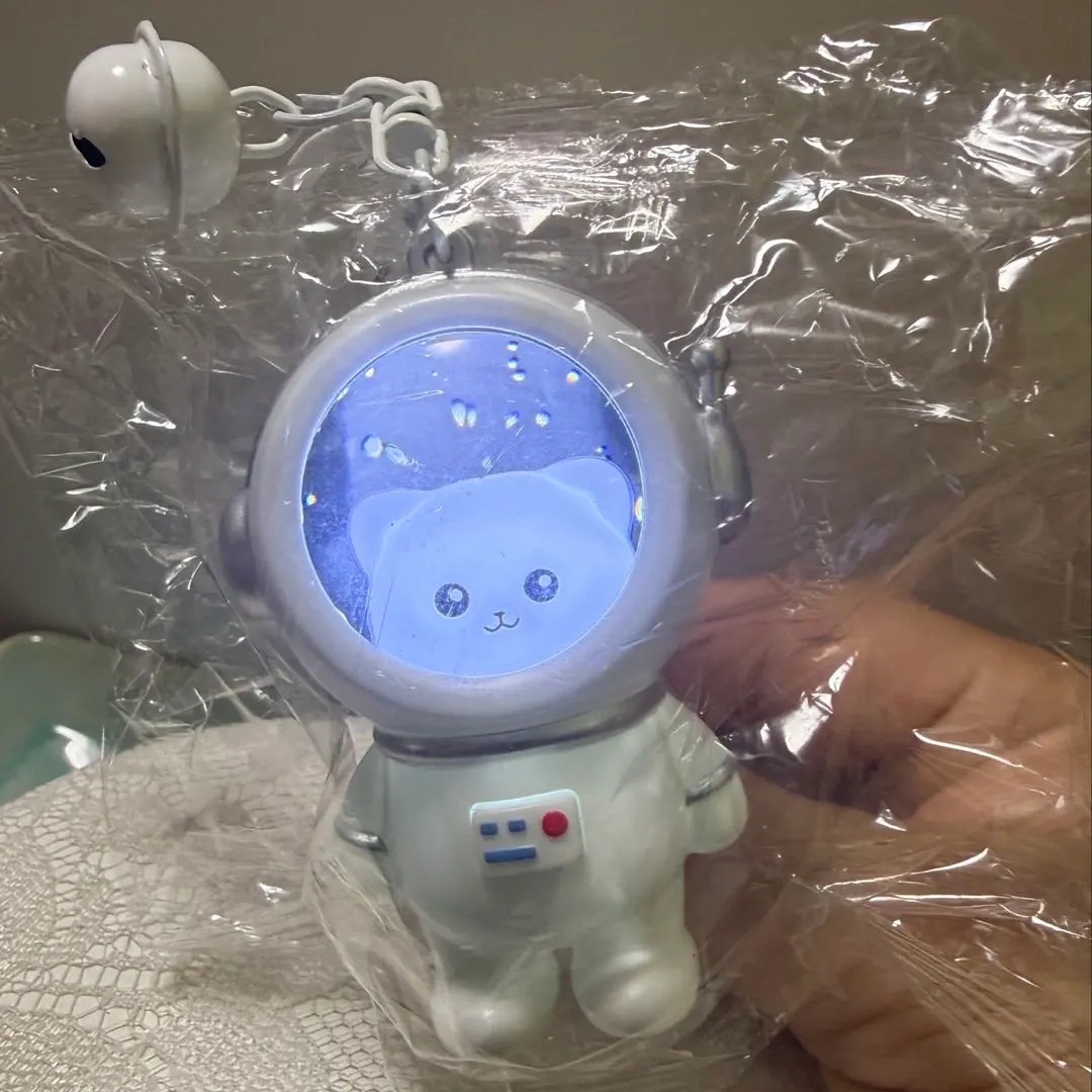 m81780615823_1.jpg?1768257634