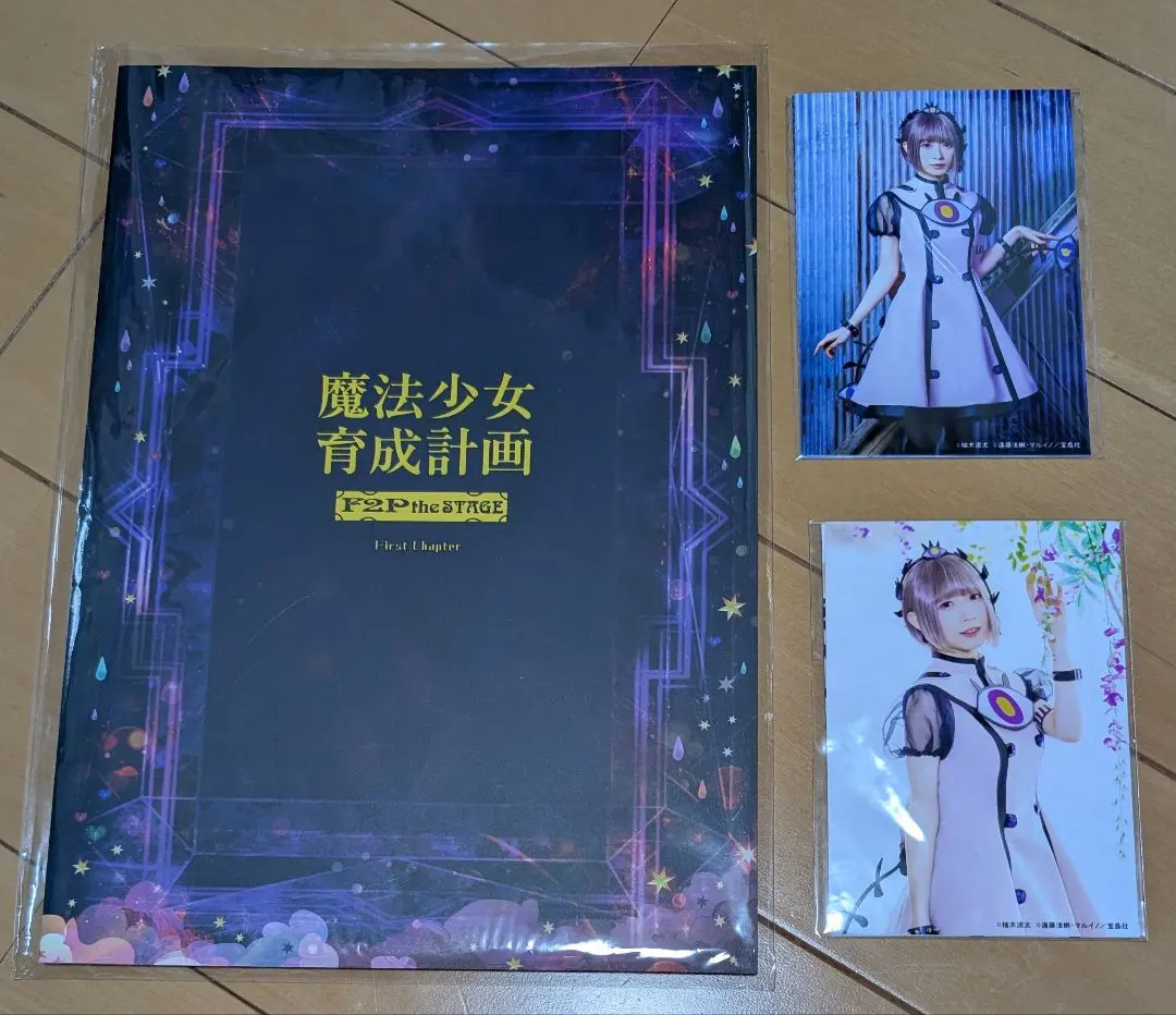 2026年最新】魔法少女育成計画 クリアファイルの人気アイテム - メルカリ