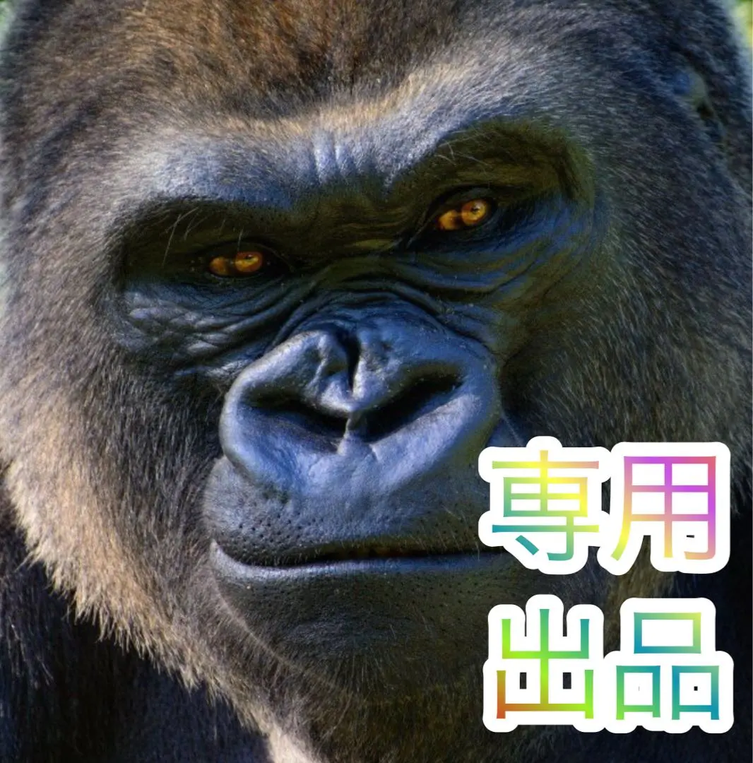 2026年最新】閃乱カグラ2 実機の人気アイテム - メルカリ