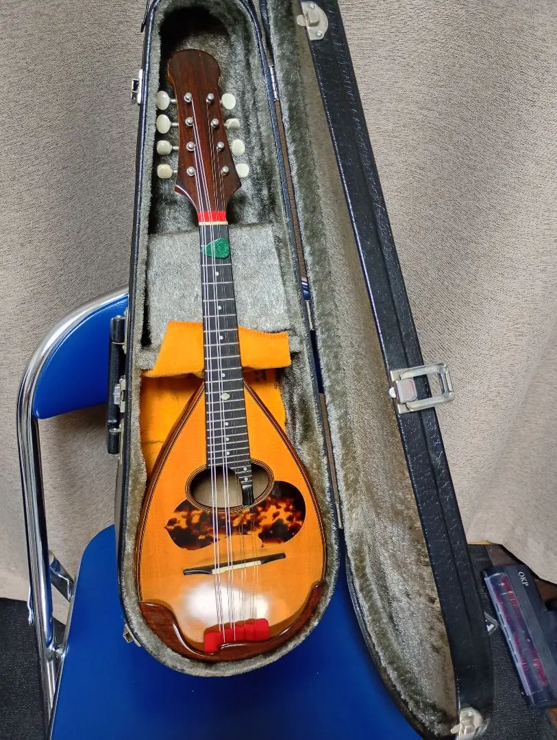 2026年最新】落合マンドリンの人気アイテム - メルカリ