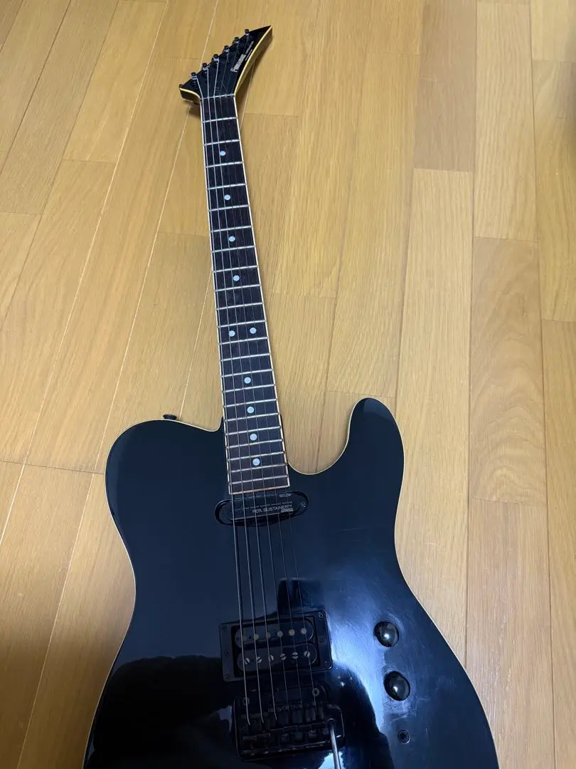 2026年最新】fernandes tej サスティナーの人気アイテム - メルカリ