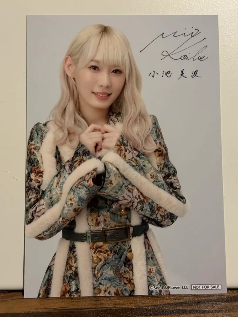 櫻坂46 生写真 2022年 クリスマスサンタ衣装 直筆サイン 小池美波 座り