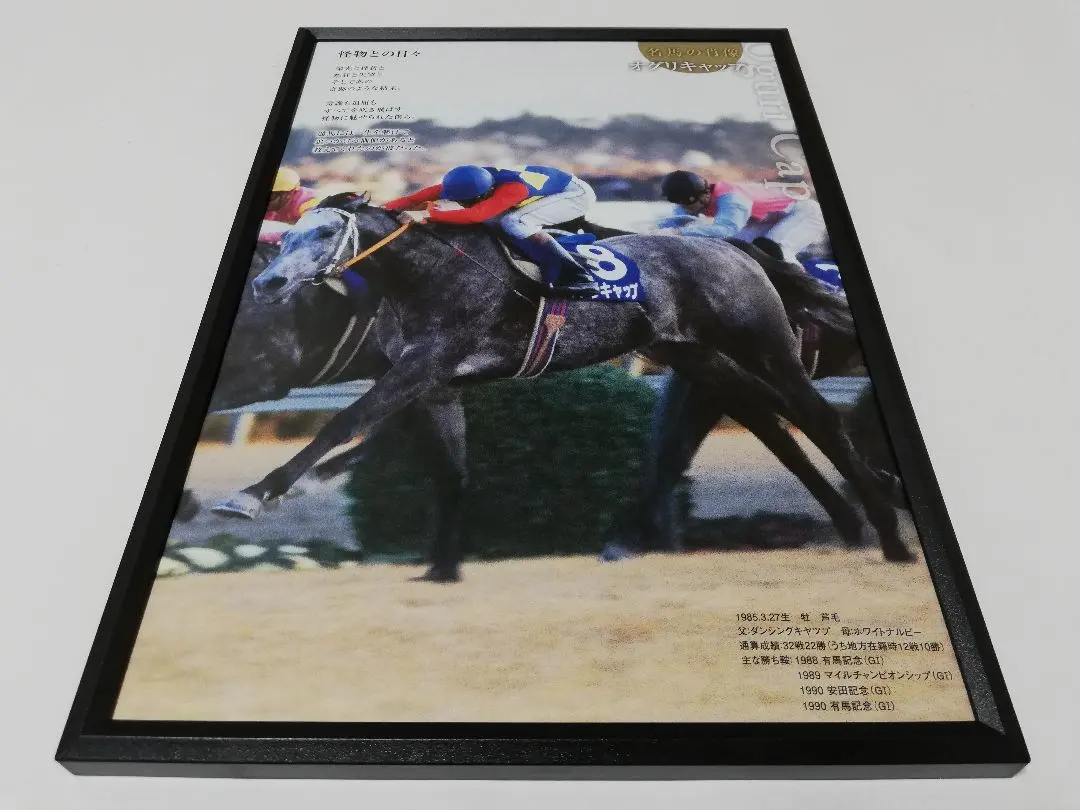 2026年最新】オグリキャップ 有馬記念 パネルの人気アイテム - メルカリ