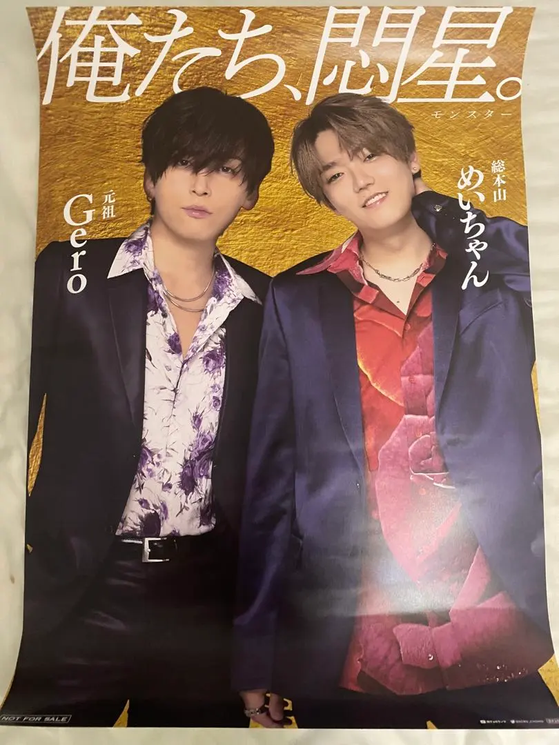 貴重Gero めいちゃん 肉チョモランマポスター