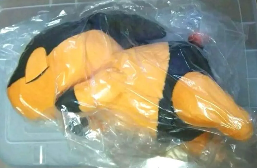 2026年最新】ポカブ 等身大の人気アイテム - メルカリ