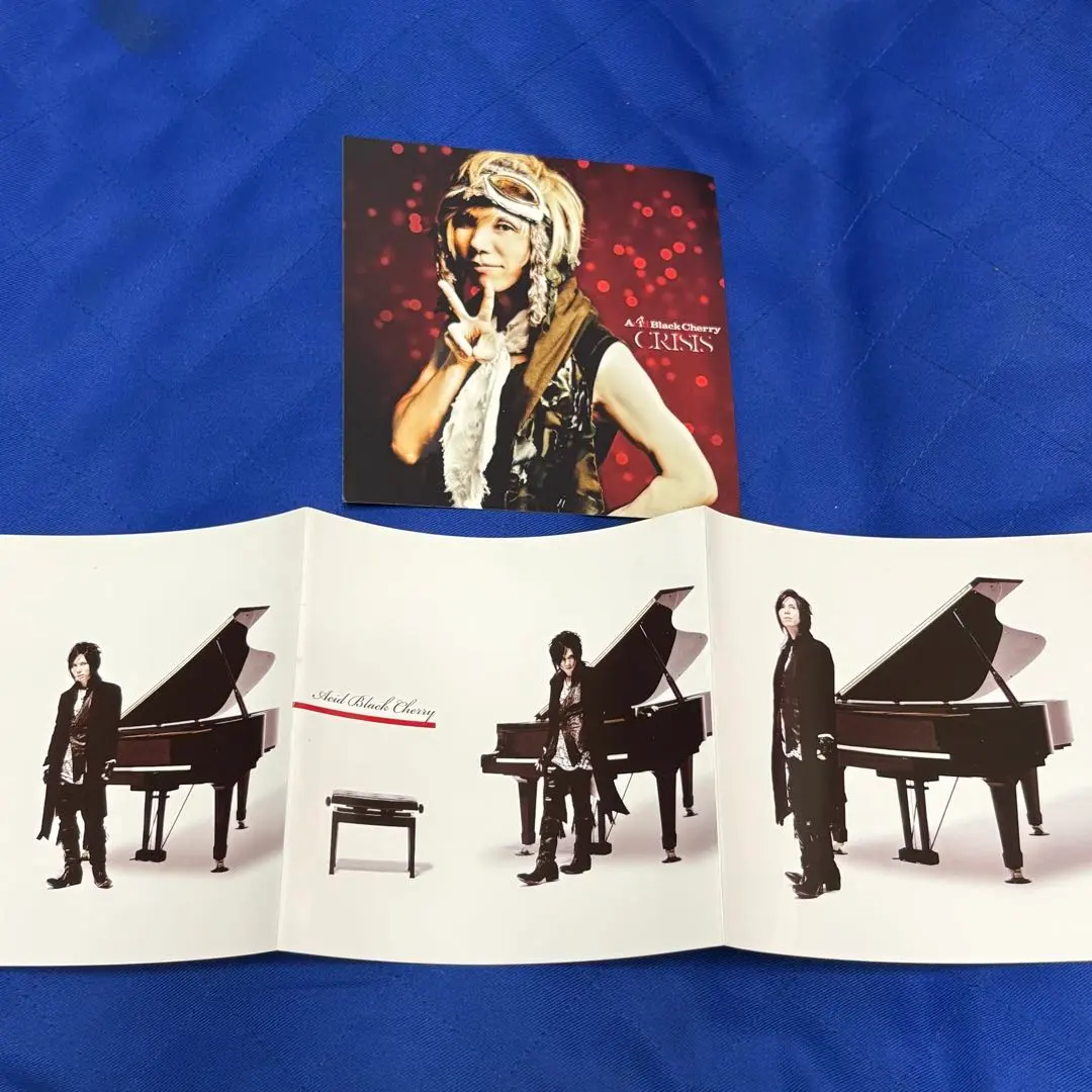 2026年最新】acid black cherry アザージャケットの人気アイテム