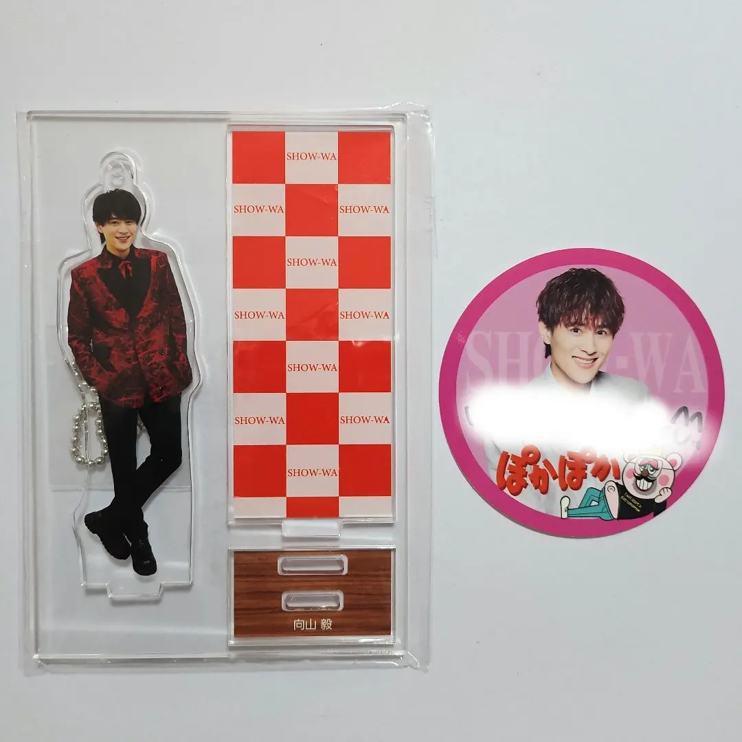 未使用品】SOLIDEMO 向山毅 アクスタ シークレットver