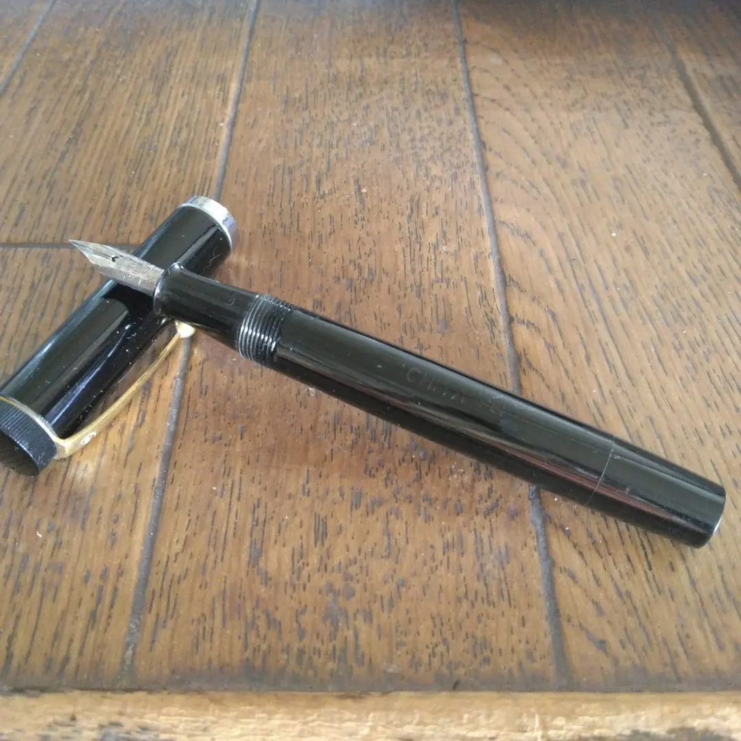 2026年最新】万年筆 warrantedの人気アイテム - メルカリ