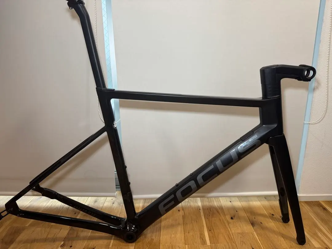 2026年最新】modulus bassの人気アイテム - メルカリ