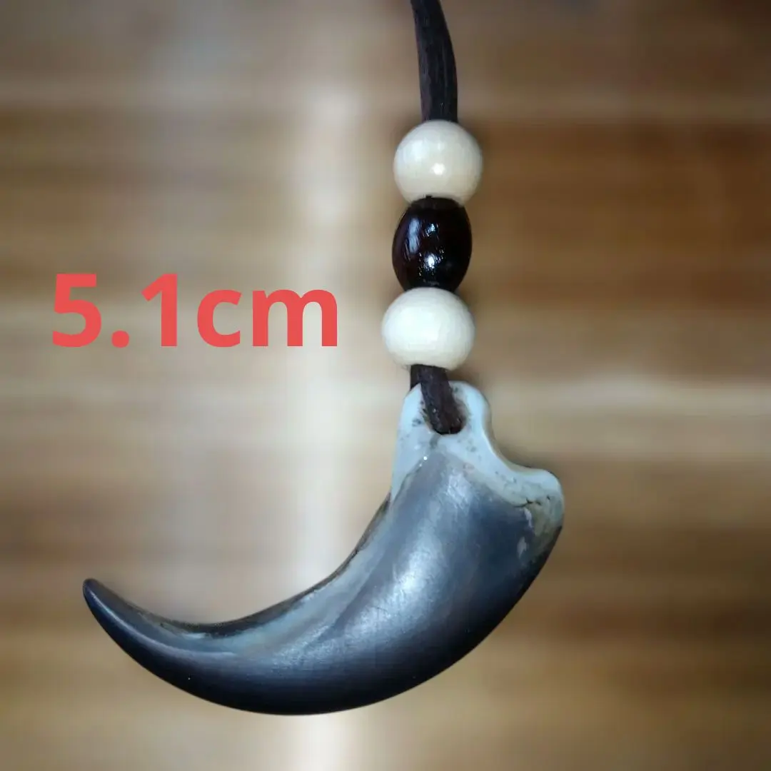 2026年最新】ヒグマ 爪の人気アイテム - メルカリ