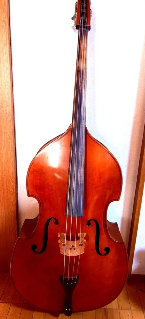 2026年最新】コントラバス チャキの人気アイテム - メルカリ