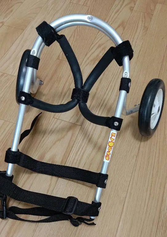 2026年最新】ポチの車いすの人気アイテム - メルカリ