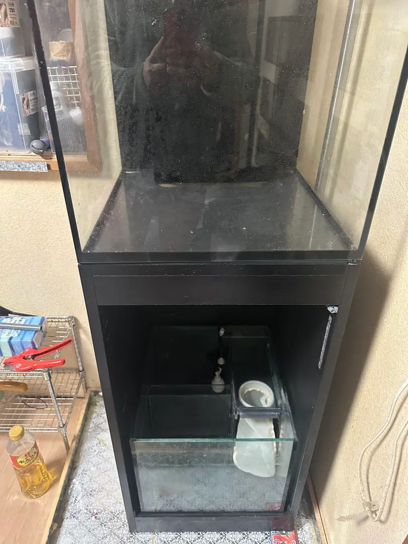 2026年最新】リーファー 水槽の人気アイテム - メルカリ