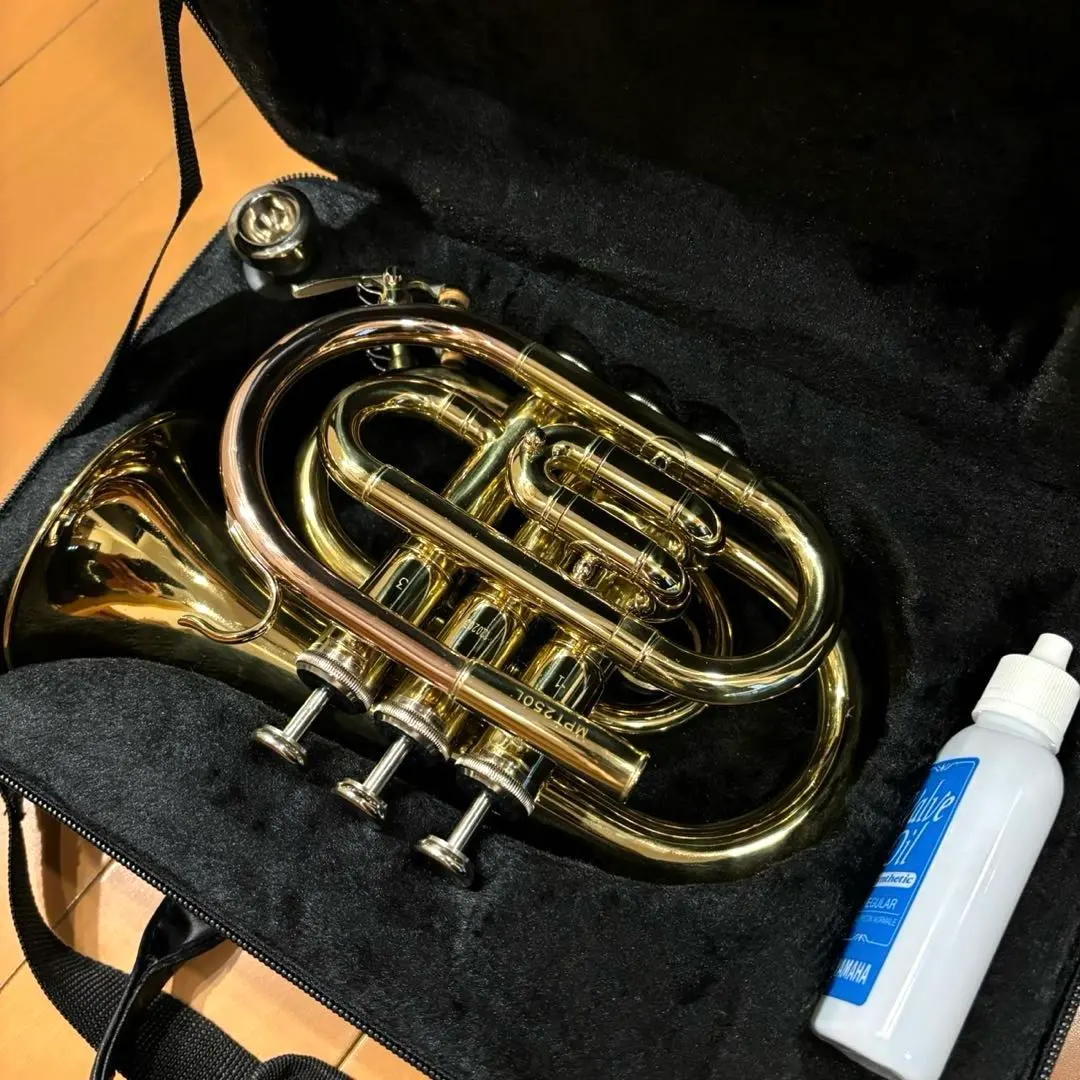 2026年最新】minerva トランペットの人気アイテム - メルカリ