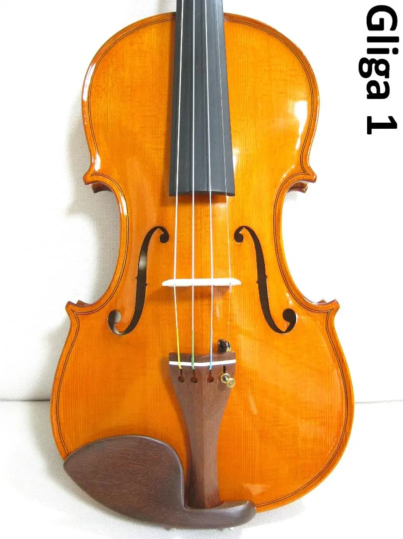 2026年最新】バイオリン GLIGAの人気アイテム - メルカリ