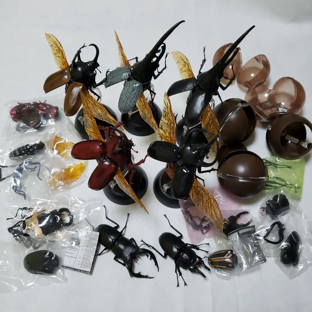 特大コロンビア産オニノコギリカミキリ79mm 昆虫標本