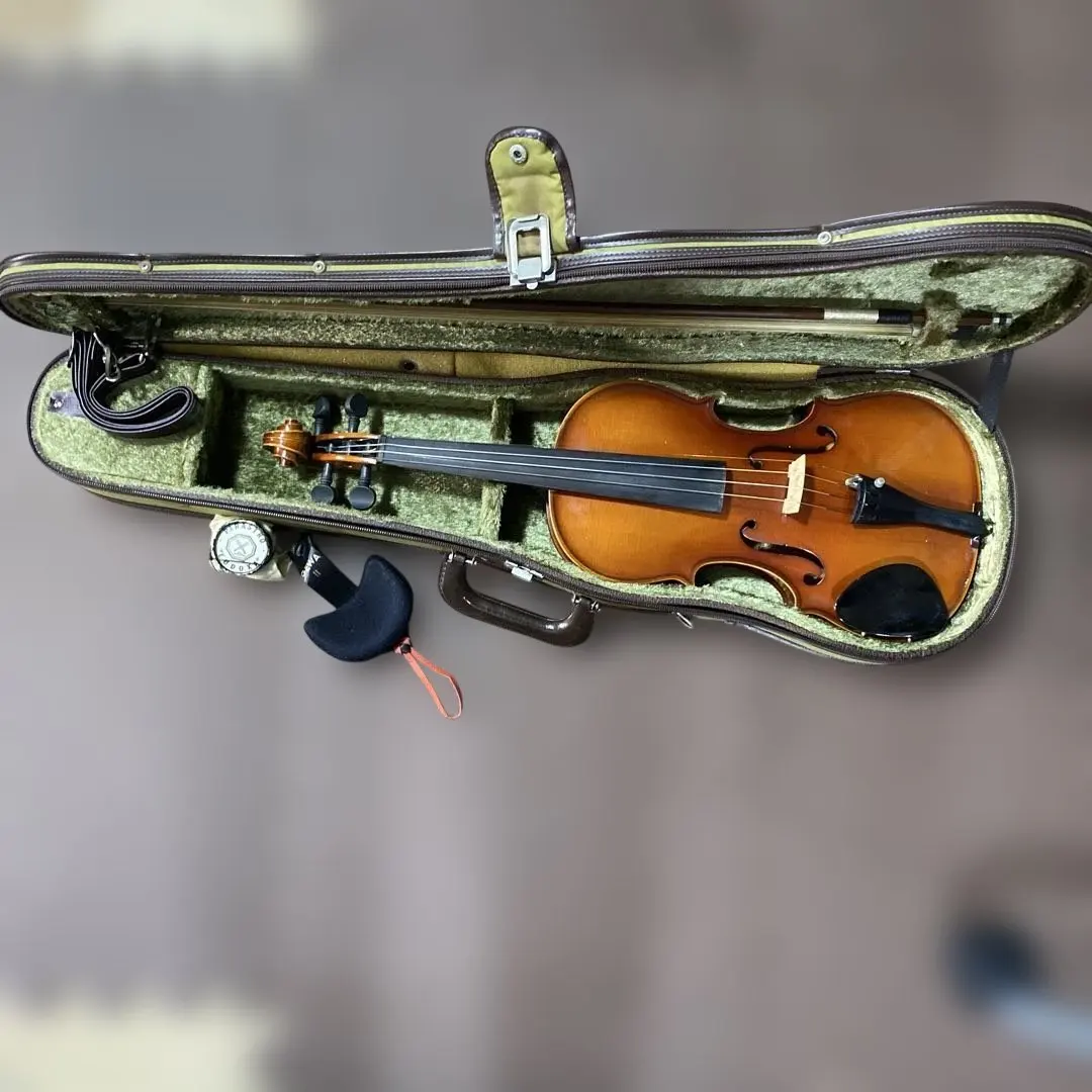 2026年最新】木曽鈴木バイオリンの人気アイテム - メルカリ