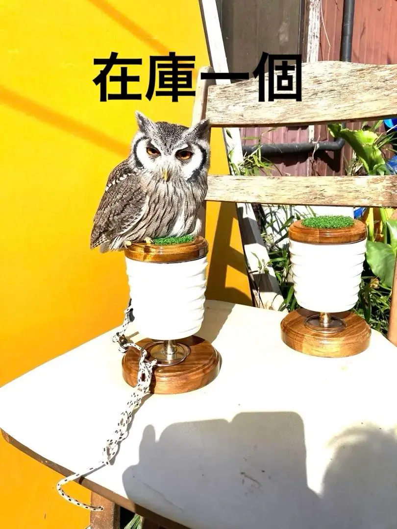 極小型猛禽パーチ，ファルコンブロックC