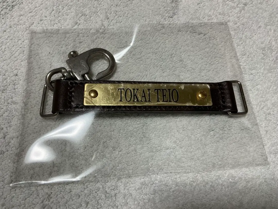 競馬 ゴールドシップ 引退記念キーホルダー 008 ゴールドシップ-メンコ