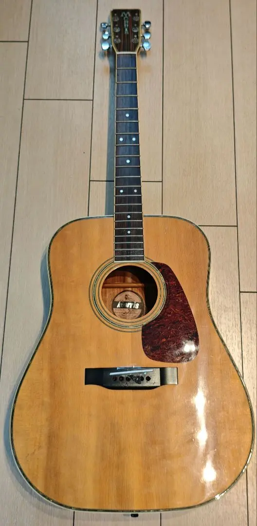 2026年最新】Morris MD-528 アコースティックギターの人気アイテム