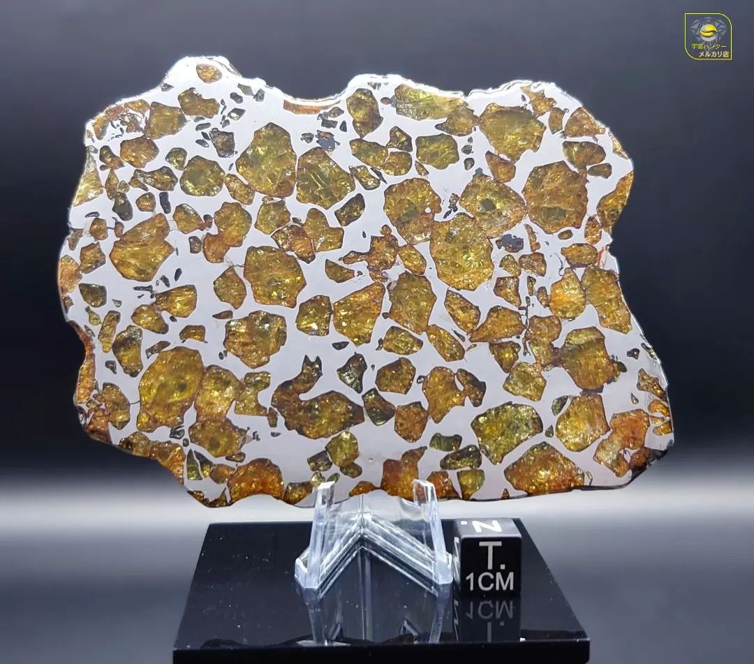 2026年最新】イミラックパラサイト隕石の人気アイテム - メルカリ