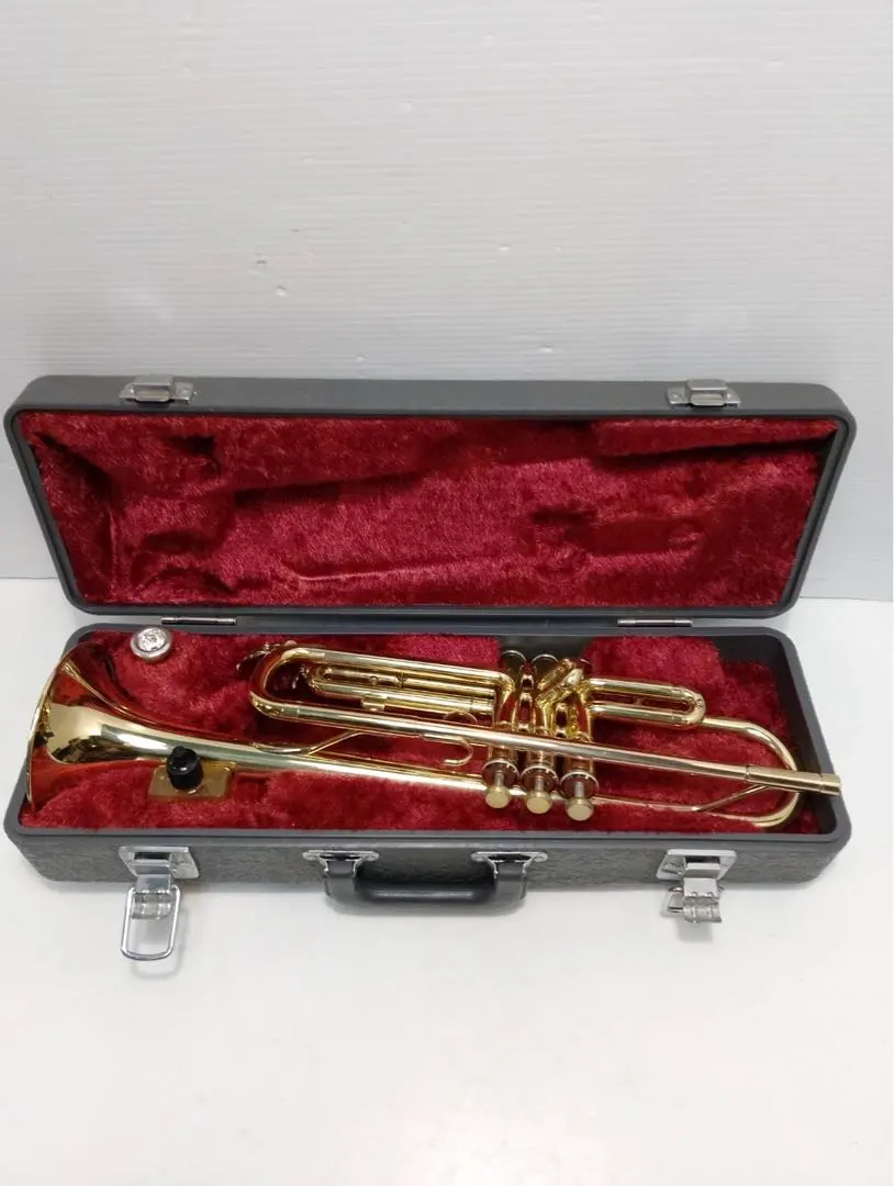 2026年最新】ytr 236の人気アイテム - メルカリ