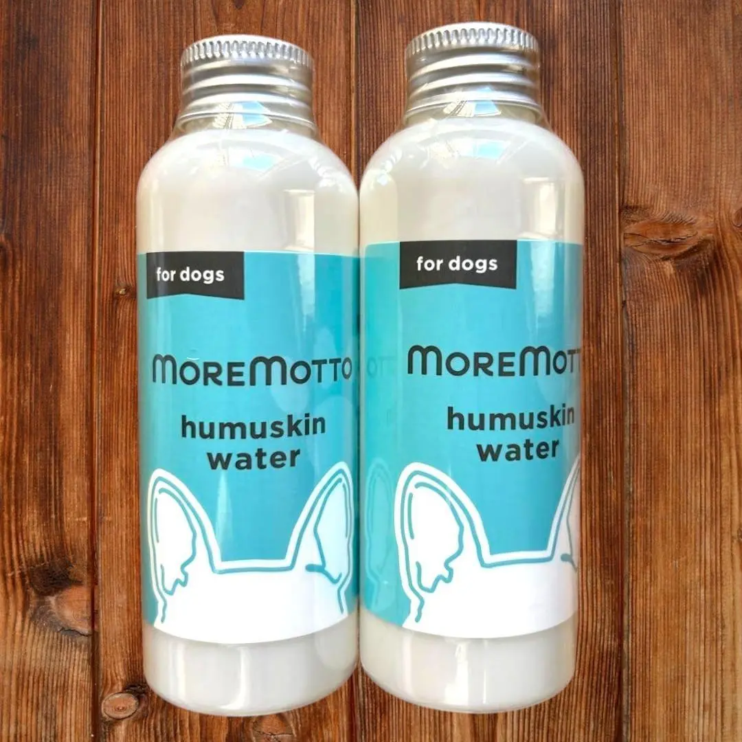 2026年最新】モアモットの人気アイテム - メルカリ