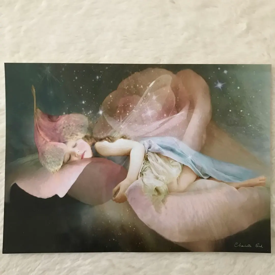 2026年最新】シャーロットバードの人気アイテム - メルカリ