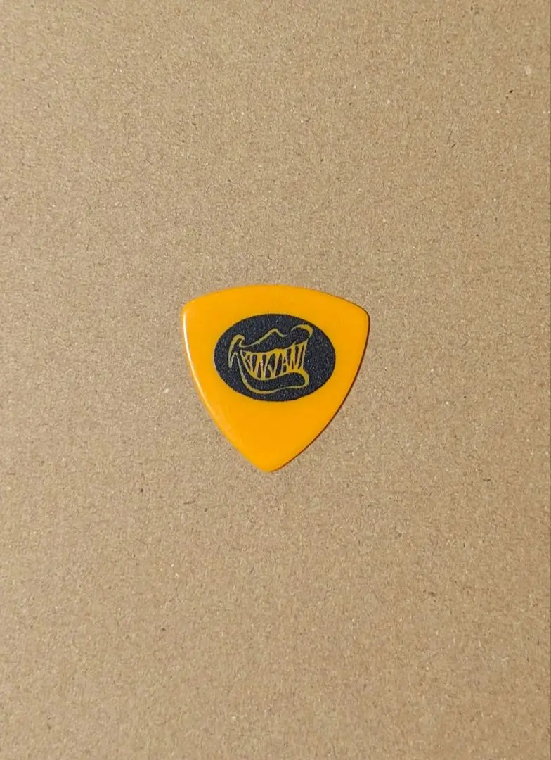 丸山隆平くんがコンサート時使用していたピック