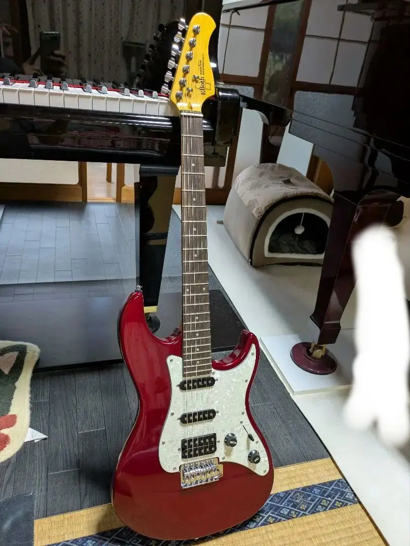 2026年最新】Elioth GUITARの人気アイテム - メルカリ