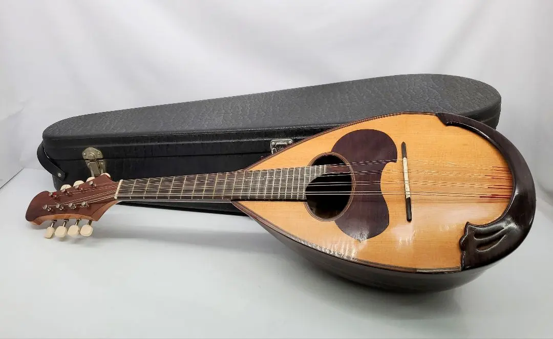 2026年最新】落合マンドリンの人気アイテム - メルカリ