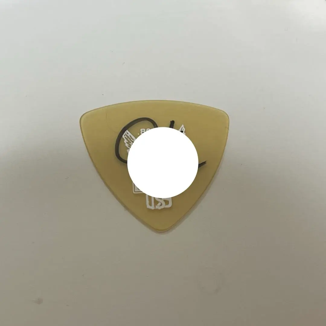 2026年最新】シンガーズハイ ピックの人気アイテム - メルカリ