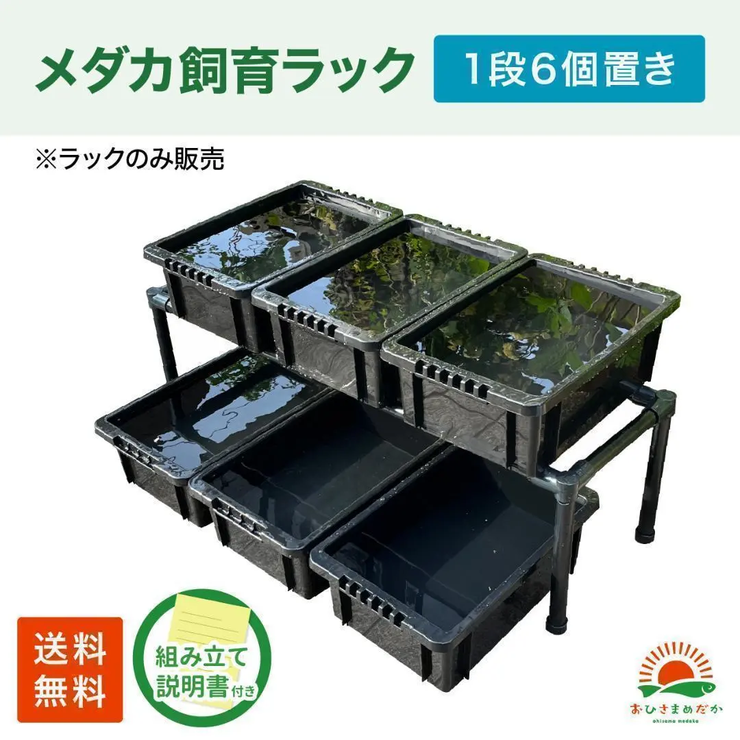 トロファスト＋ダイソー メダカ水槽用容器31個セット 中古品