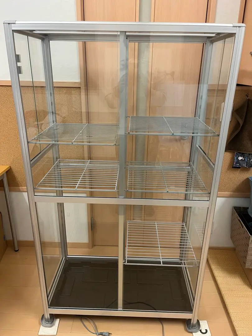 2026年最新】ピカ 温室の人気アイテム - メルカリ