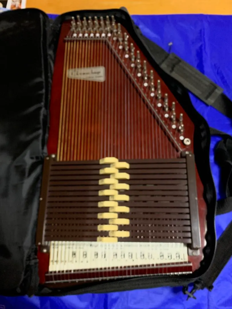 2026年最新】クロマハープの人気アイテム - メルカリ