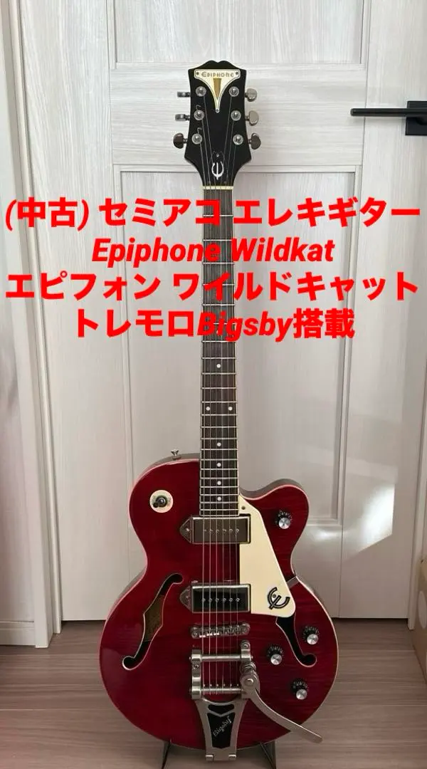 2026年最新】epiphone wildkatの人気アイテム - メルカリ
