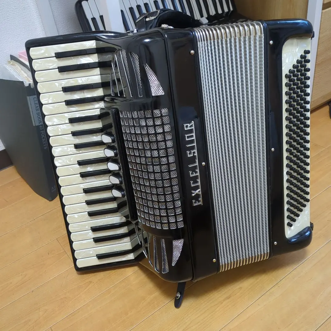 2026年最新】EXCELSIOR アコーディオンの人気アイテム - メルカリ